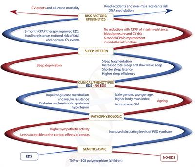 Obstructive Sleep Apnea With or Without Excessive Daytime Sleepiness: Clinical and Experimental Data-Driven Phenotyping